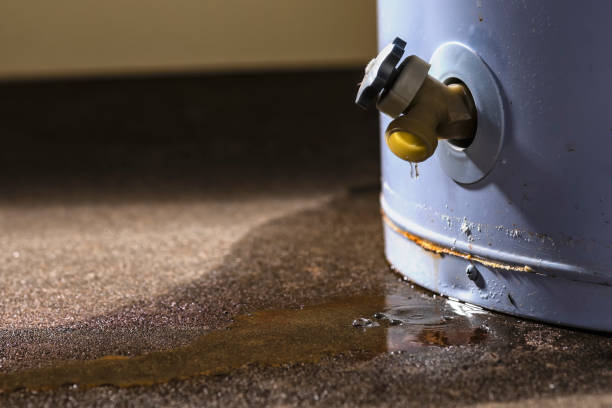 Best Commercial water damage restoration  in Manistee, MI
