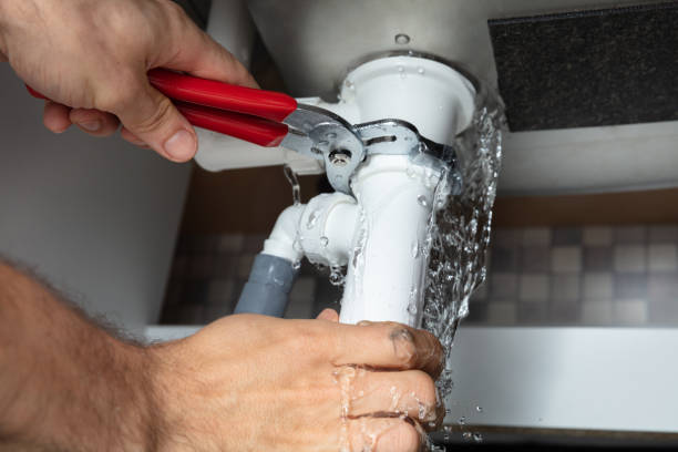 Best Water damage restoration services  in Manistee, MI