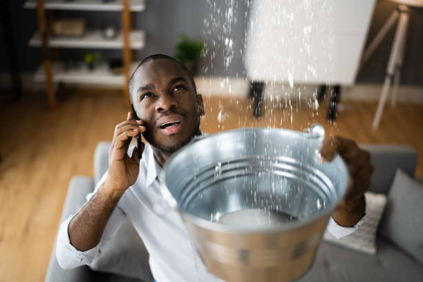 Best Flood damage cleanup  in Manistee, MI