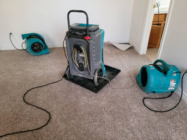 Water damage restoration process in Manistee, MI