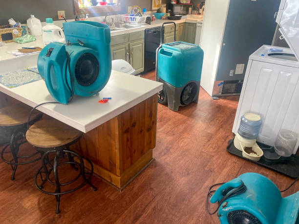 Best Local water damage restoration  in Manistee, MI