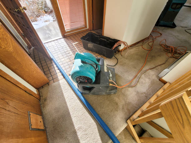  Manistee, MI Water damage restoration Pros
