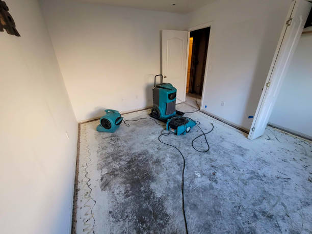 Manistee, MI Water damage restoration Company