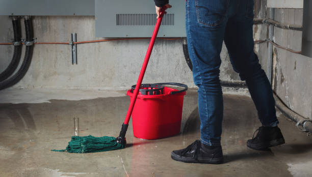 Best Ceiling water damage repair  in Manistee, MI