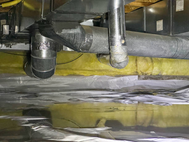 Best Local water damage restoration  in Manistee, MI