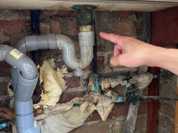 Best Residential water damage restoration  in Manistee, MI