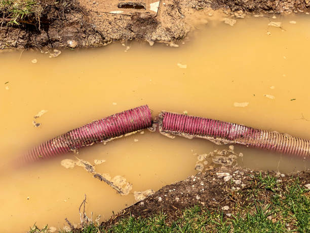 Best Water damage restoration near me  in Manistee, MI