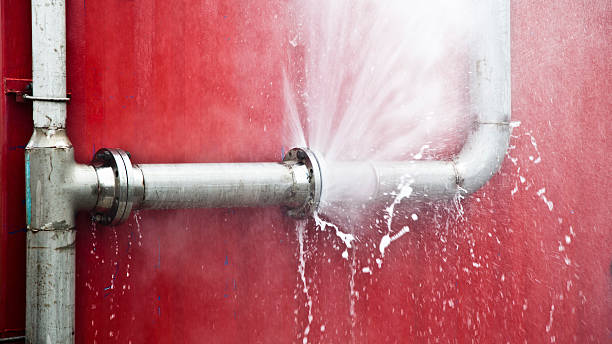 Best Water damage restoration process  in Manistee, MI